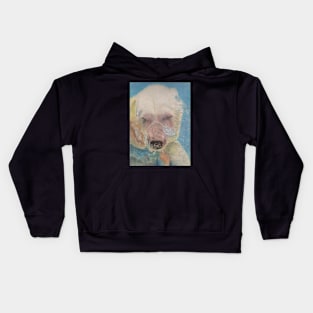 Polar Bear Kids Hoodie